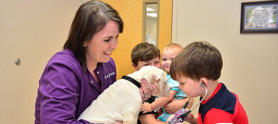 Puppy Care at Ark Animal Hospital in Millbrook AL