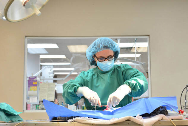 After Orthopedic Surgery Care