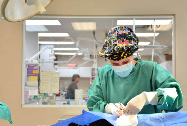 General Surgery for Pets