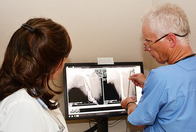 Orthopedic Surgery