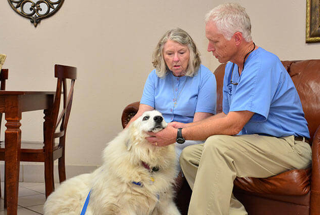 Senior Pet Screening