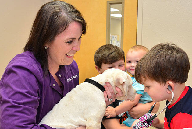 Puppy Veterinary Care